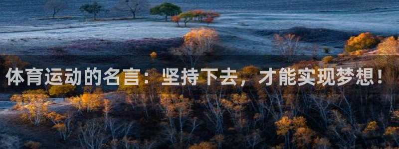 球速体育