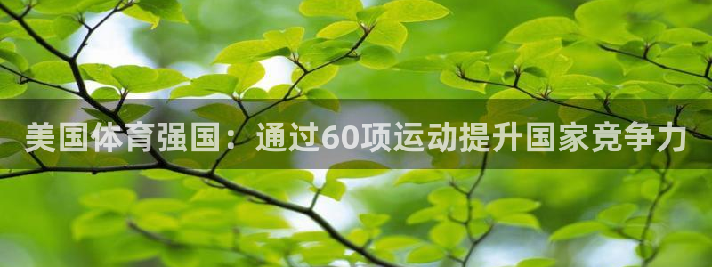 球速体育