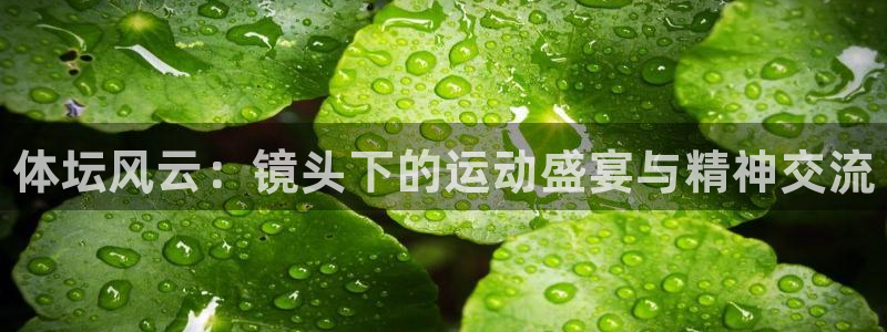 球速体育