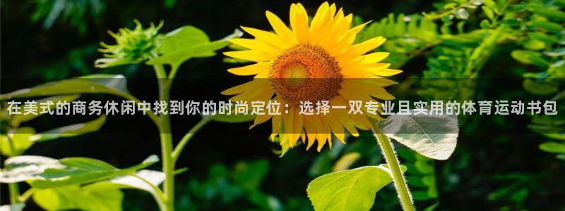 球速体育