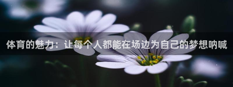 球速体育