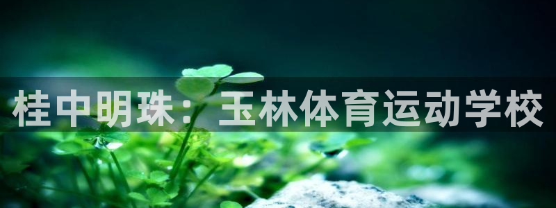 球速体育