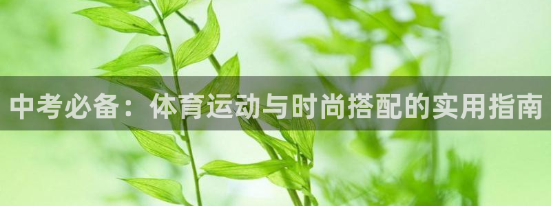 球速体育