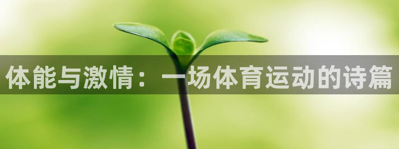 球速体育