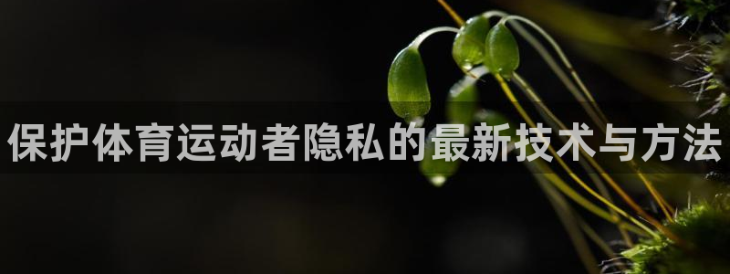 球速体育