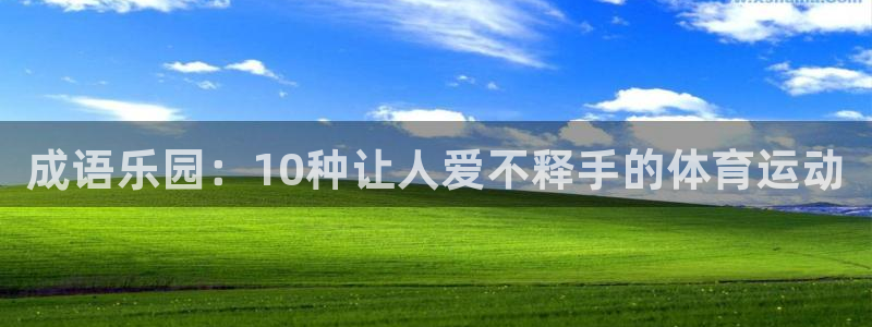 球速体育