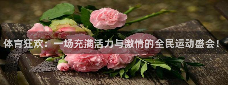 球速体育