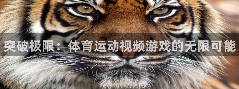 球速体育