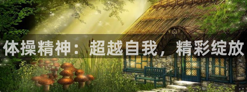 球速体育