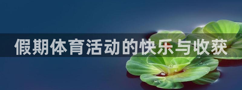 球速体育