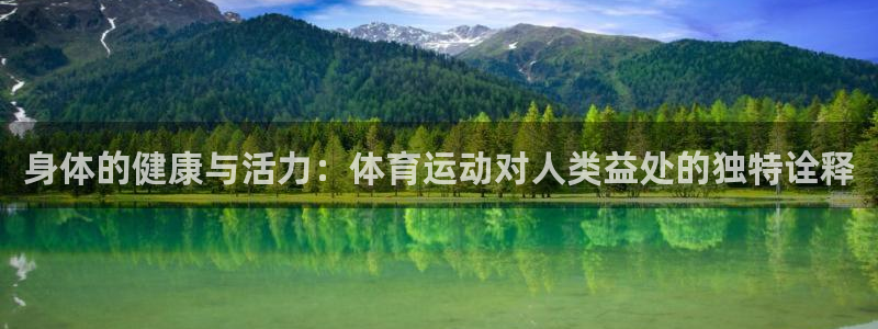 球速体育