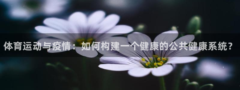 球速体育