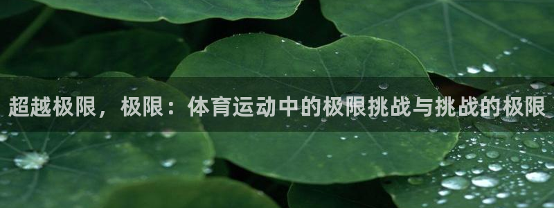 球速体育