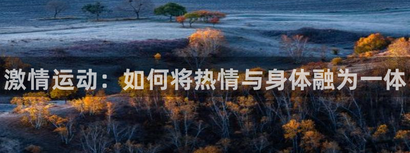 球速体育