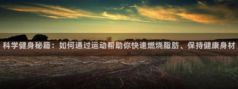 球速体育