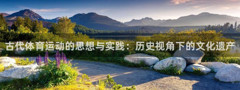 球速体育