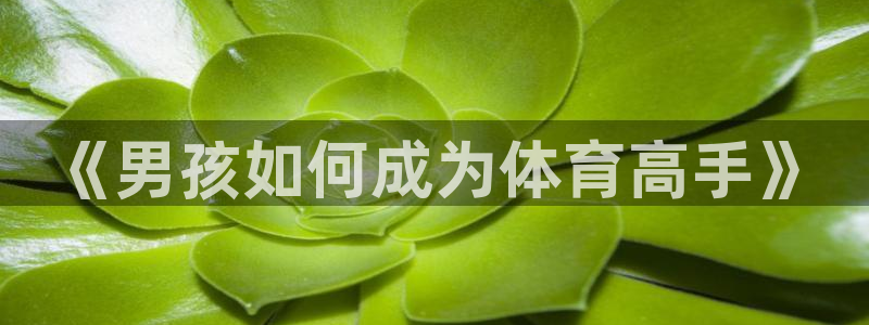 球速体育