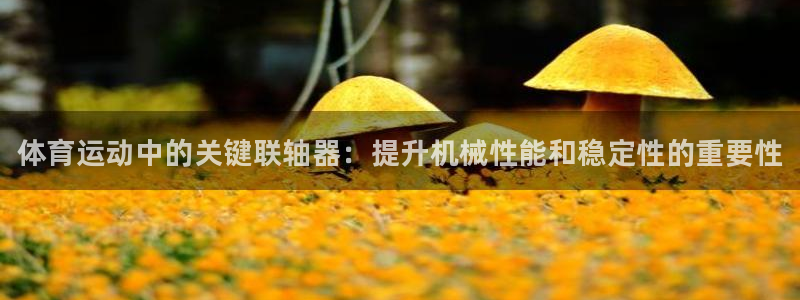 球速体育