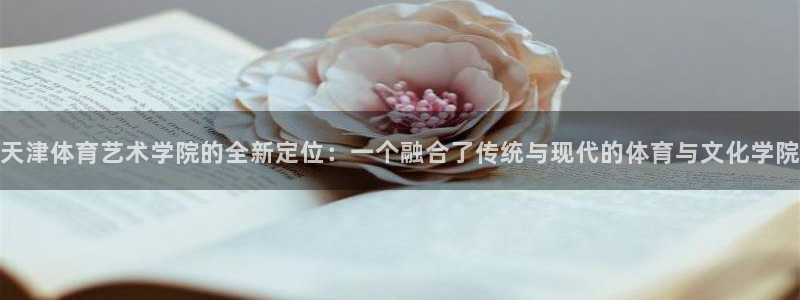 球速体育