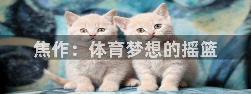 球速体育