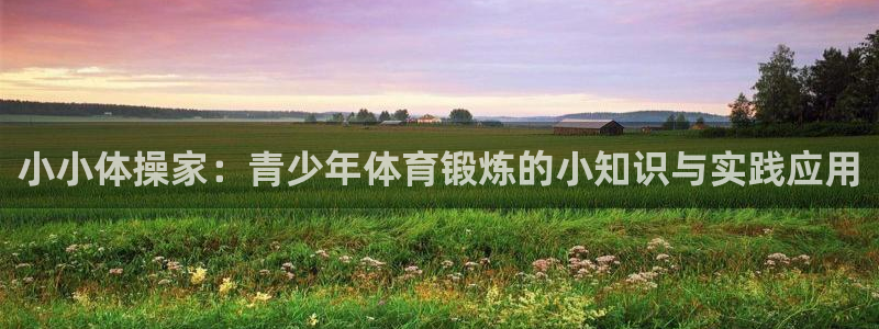 球速体育
