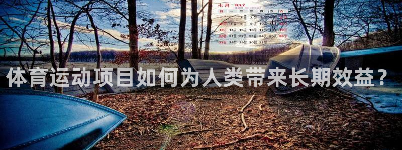 球速体育