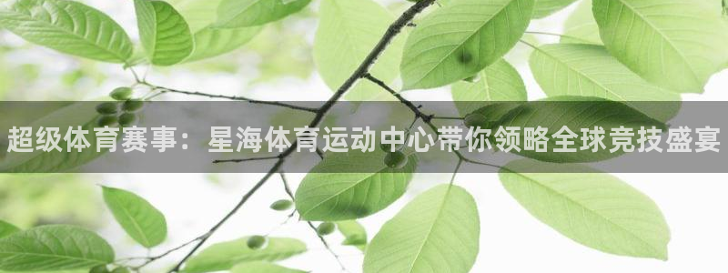 球速体育