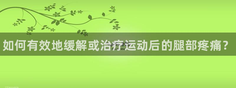 球速体育