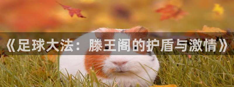 球速体育