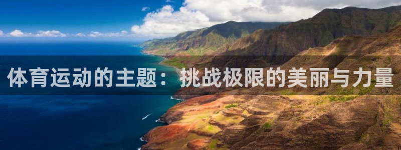 球速体育