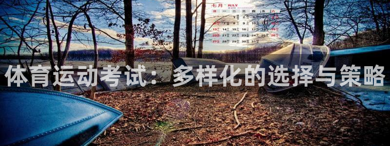 球速体育