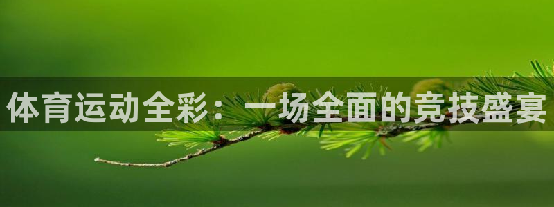 球速体育