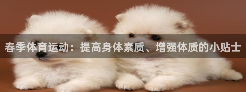 球速体育