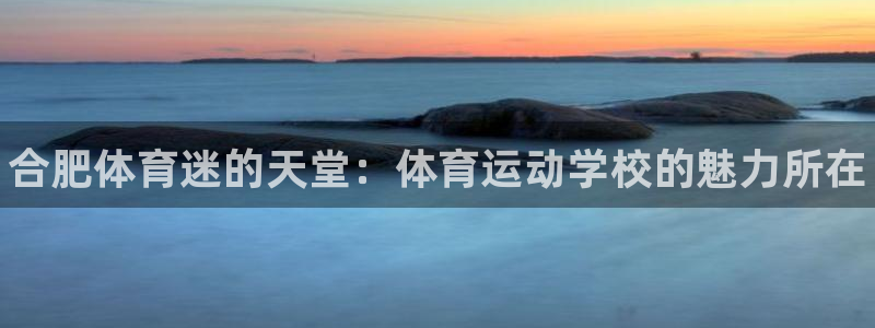 球速体育