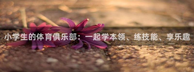 球速体育
