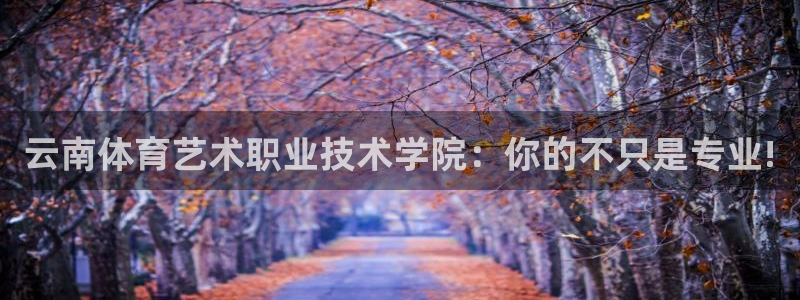 球速体育