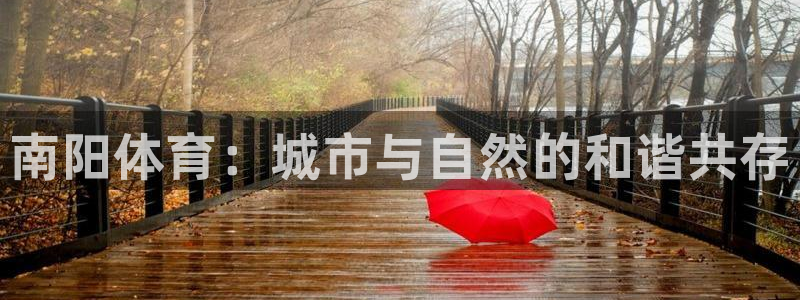 球速体育