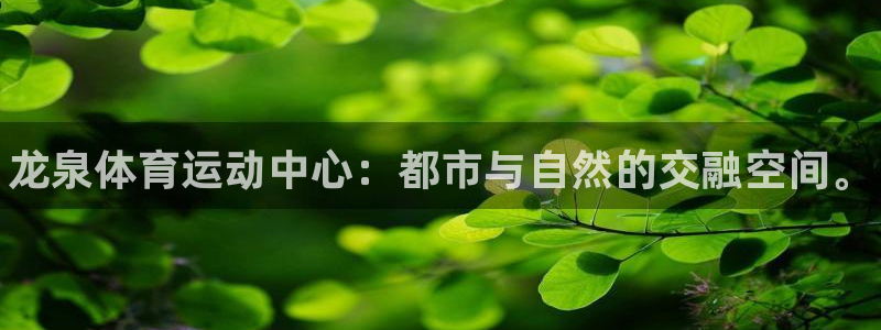 球速体育