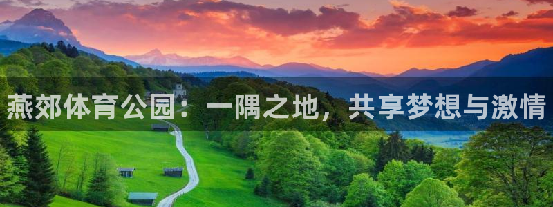球速体育