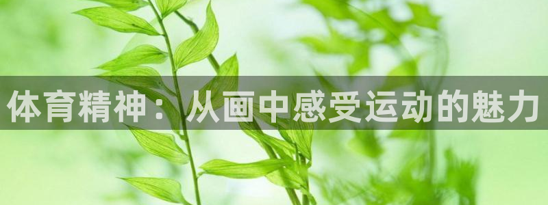 球速体育