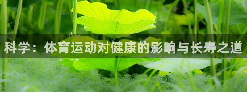球速体育