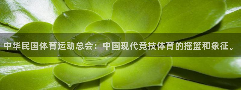 球速体育