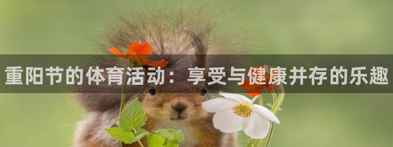 球速体育