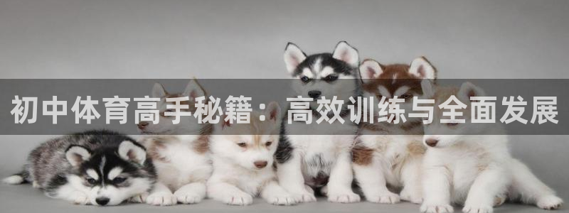 球速体育