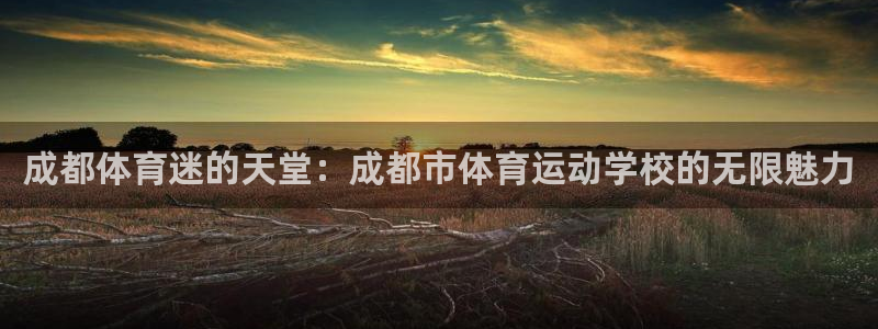 球速体育