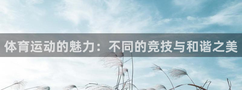 球速体育